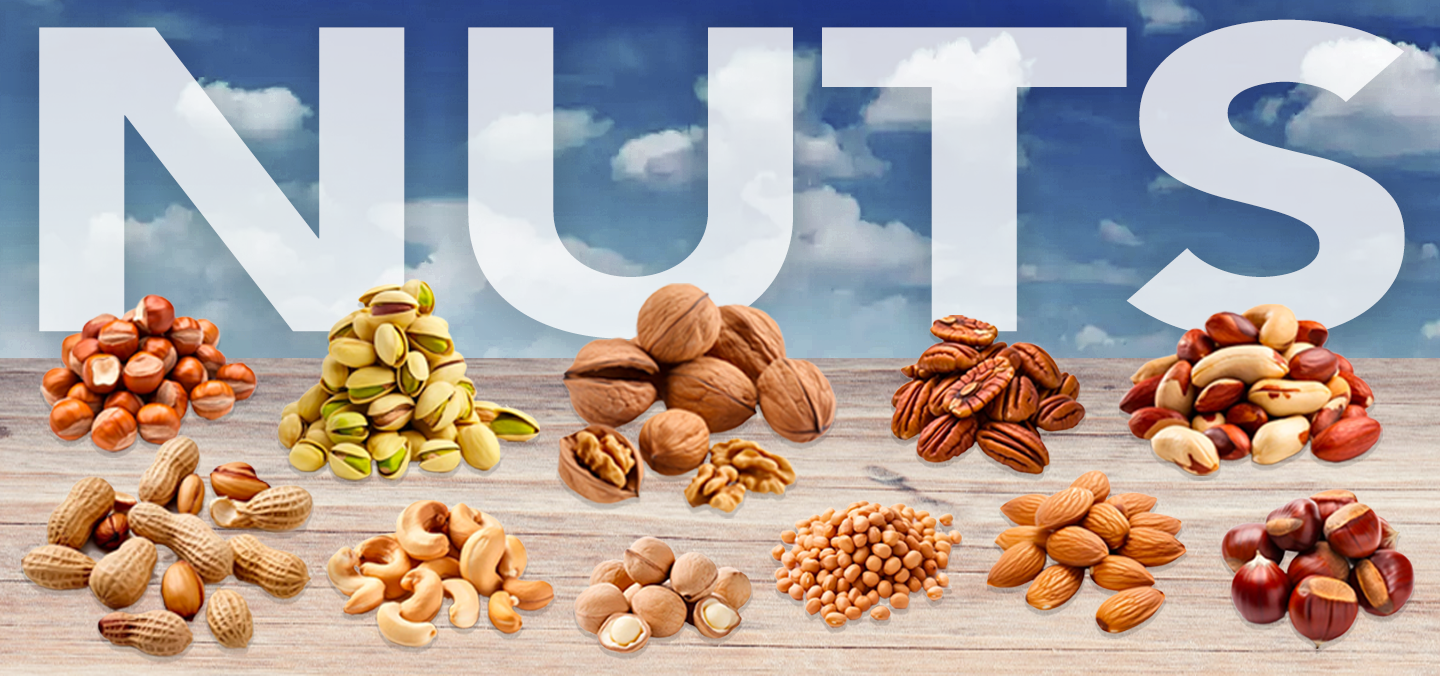 Food Sale Distributor and Supplier of Nuts ingredients for Food Manufacturers, Restaurants and Bakeries