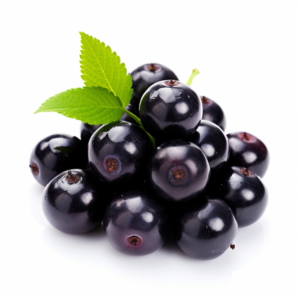 ACAI food supplier Puree, Powder, Frozen, Conventional, Organic