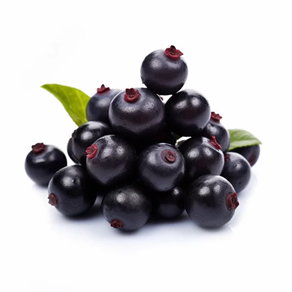 Aronia Berries Food supplier for Juice Concentrate, Clarified, Frozen, Powder, Conventional, Organic