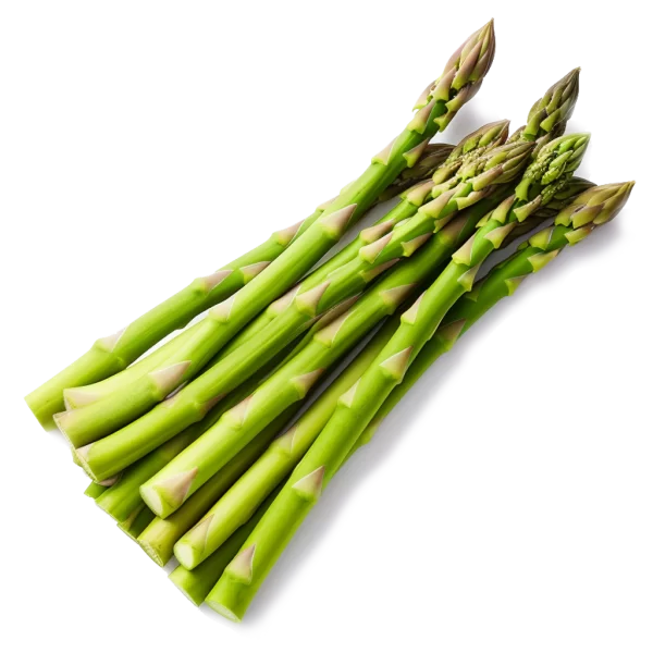 Fresh Asparagus Supplier and Distributor of Asparagus Raw Food Ingredients