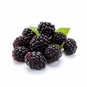 Blackberry food supplier for Juice Concentrate, WONF Wild, Puree Cultivated IQF SP Frozen Freeze Dried Powder Essence Conventional Organic