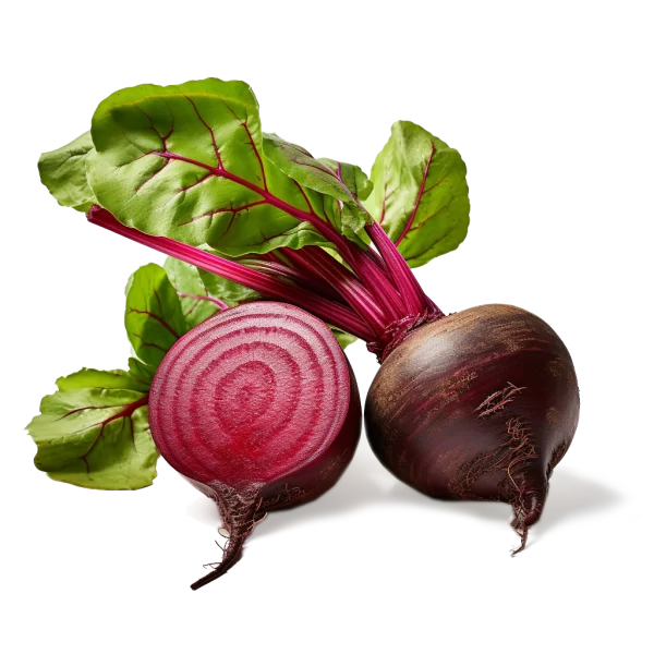 Fresh Beets Supplier and Distributor of Beet Juice Raw Food Ingredients