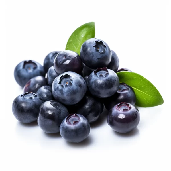 BLUEBERRY food supplier for Juice Concentrate, WONF Wild, Puree Cultivated IQF SP Frozen Freeze Dried Powder Essence Conventional Organic