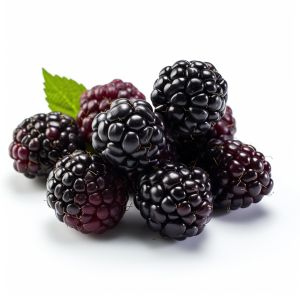 Food supplier for BOYSENBERRY Juice Concentrate WONF Frozen Blend IQF SP Puree Conventional Organic