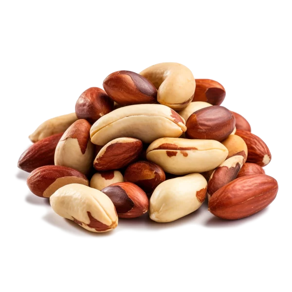 Brazil Nuts Supplier and Distributor of Fresh Water Chestnut Raw Food Ingredients