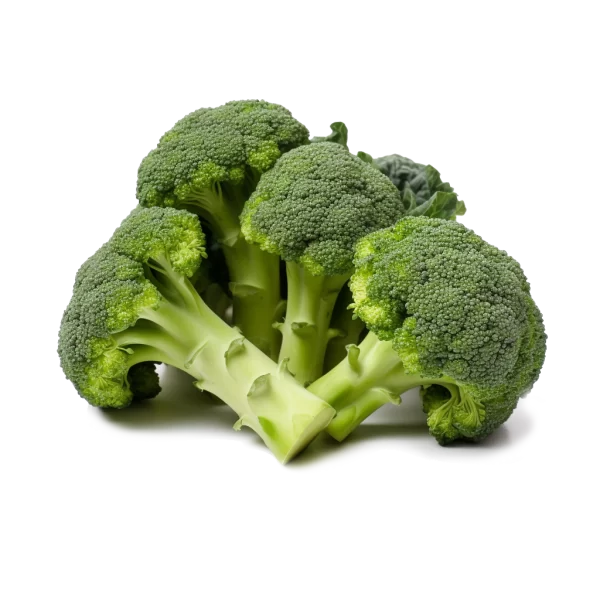 Fresh Broccoli Supplier and Distributor of Broccoli Raw Food Ingredients