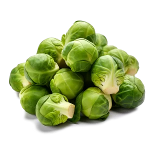 Fresh Brussel Sprouts Supplier and Distributor of Brussel Sprout Raw Food Ingredients