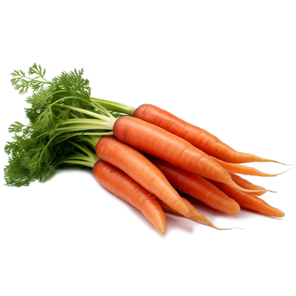 Carrot Food Supplier and Distributor of Carrots Raw Ingredients
