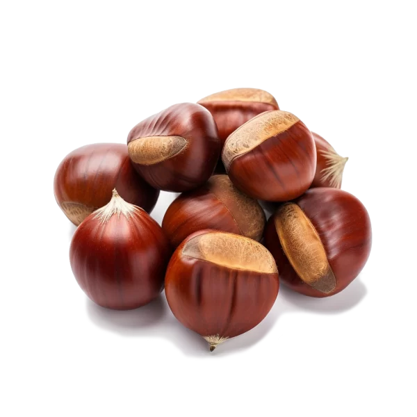 Chestnut Supplier and Distributor of Fresh Chestnut Raw Food Ingredients