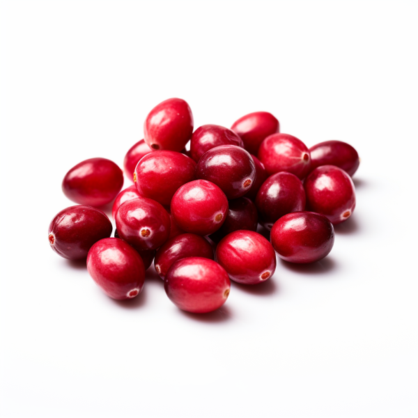 Food supplier for Cranberry and cranberries Juice Concentrate WONF NFC Aseptic Dried Puree Powder Frozen IQF SP Blend Conventional Organic