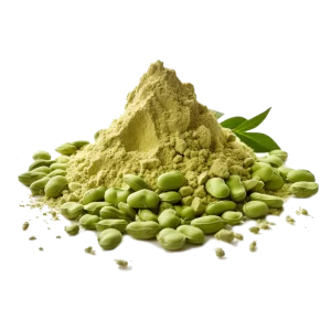 Fava Bean Protein Powder Supplier and Distributor of Fava Beans Ingredients