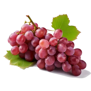 Red Grapes Supplier and Distributor of Raw Food Ingredients