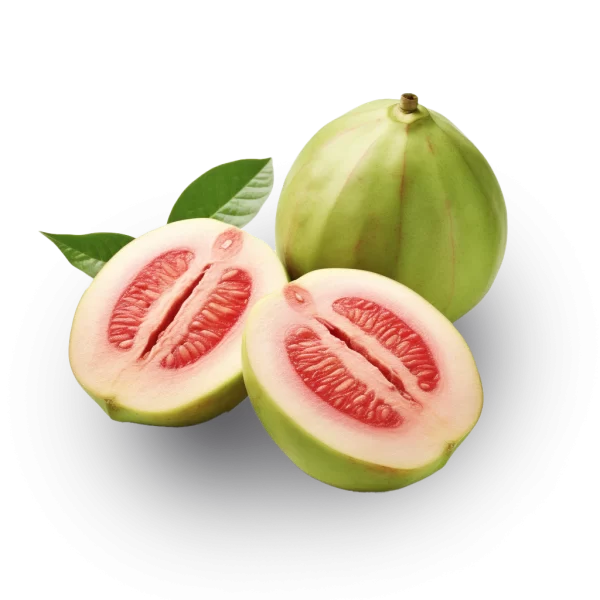 Guava Juice Supplier and Distributor of Raw Food Ingredients