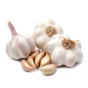Garlic Supplier and Distributor of Fresh Garlic Raw Food Ingredients