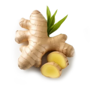 Ginger Root Supplier and Distributor of Fresh Ginger Raw Food Ingredients