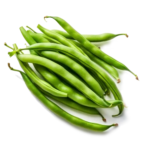 Green Bean Supplier and Distributor of Fresh Green Beans Raw Food Ingredients