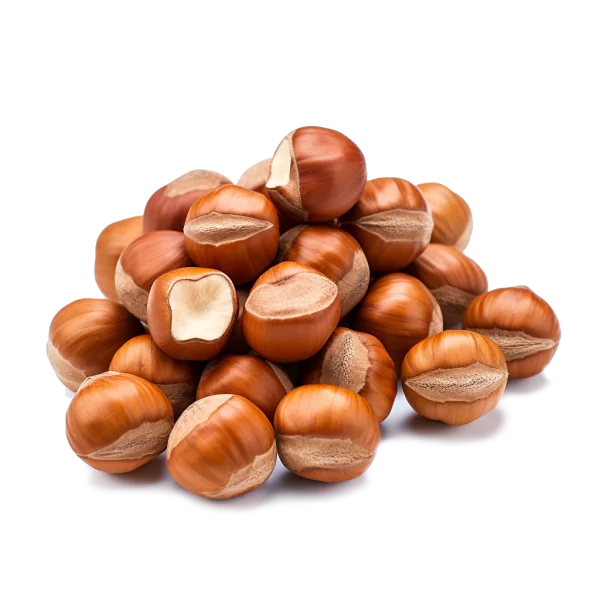Hazelnuts Supplier and Distributor of Fresh Hazelnut Raw Food Ingredients