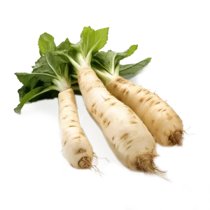 Horseradish Supplier and Distributor of Fresh Horseradish Root Raw Food Ingredients