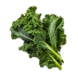 Kale Supplier and Distributor of Fresh Kale Raw Food Ingredients