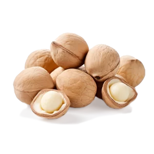 Macadamia Supplier and Distributor of Fresh Macadamia Raw Food Ingredients