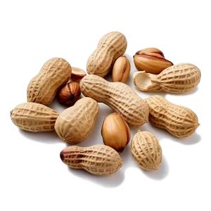Peanuts Supplier and Distributor of Fresh Peanut Raw Food Ingredients