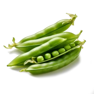 Pea Pod Supplier and Distributor of Fresh Peas Raw Food Ingredients