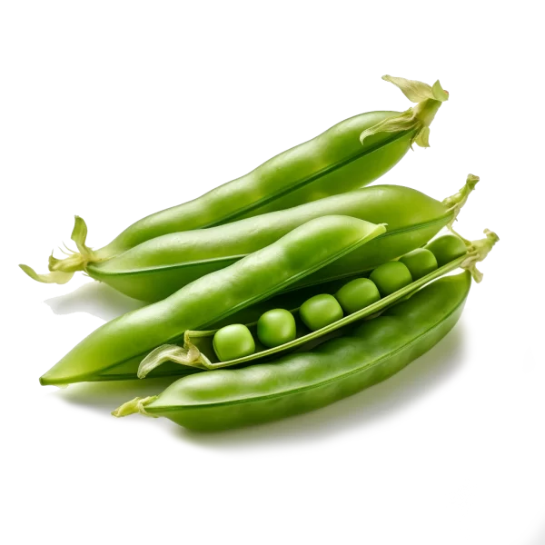 Pea Pod Supplier and Distributor of Fresh Peas Raw Food Ingredients
