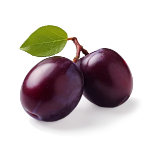Fresh Plum Supplier and Distributor of Plums Raw Food Ingredients