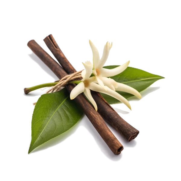 Extract Supplier and Distributor of Extract Ingredients