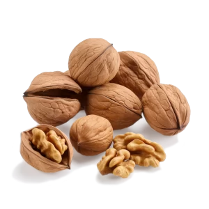 Walnut Supplier and Distributor of Fresh Walnuts Raw Food Ingredients
