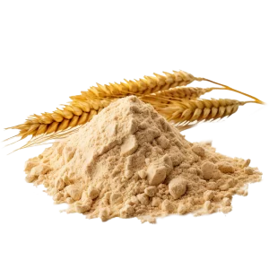 Wheat Powder Concentrate Supplier and Distributor of Wheat Raw Ingredients