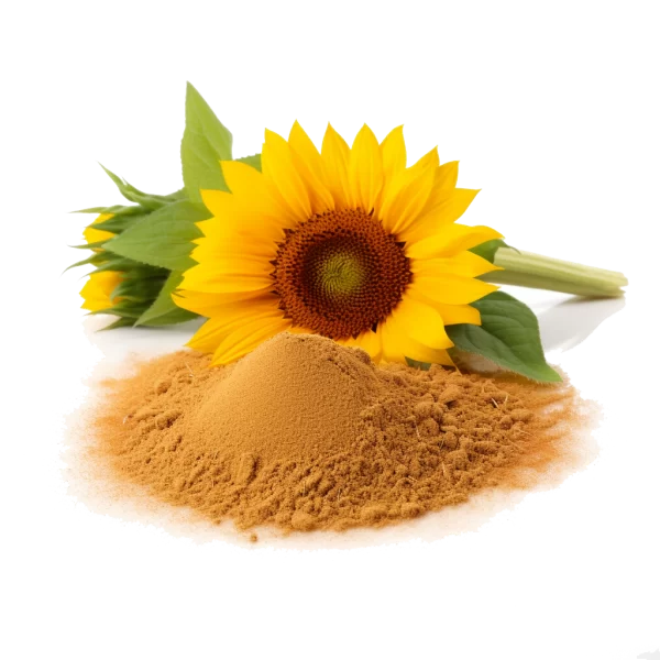 Sunflower Lecithin Bulk Food ingredient Supplier and Distributor of Sunflower Lecithin for Food Products