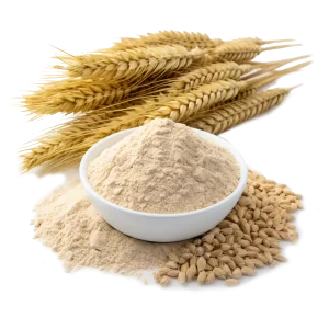Bulk Ingredient Supplier and Distributor of Vital Wheat Gluten Thickening Agent for Food Products
